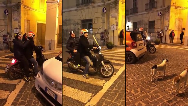 Deux hommes à scooter vs Deux chiens