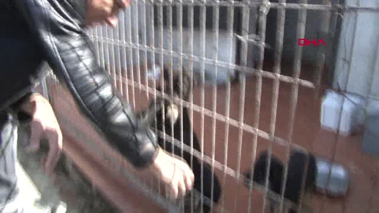 Gökhan İnler'in Hayvan Sevgisi Sınır Tanımıyor Hd