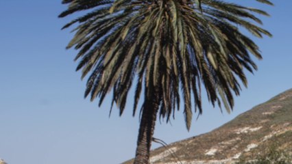 Young Boy in the Pool (©Tanya Habjouqa/NOOR) | OneShot