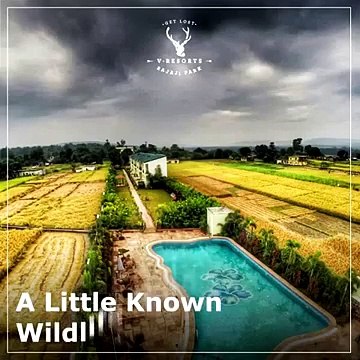 Explore Rajaji National Park with V Resorts