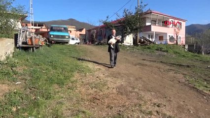 Trabzon Kuzuyu Otomobiliyle Taşıdığı İçin 13 Yıl Önce Kesilen Cezayla İcralık Oldu