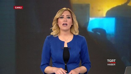 Evleri Arılar Bastı