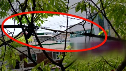 도심 전깃줄서 합선...행인 2명 불꽃에 화상 / YTN