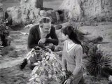 Lost in Space S01 E09  The Oasis