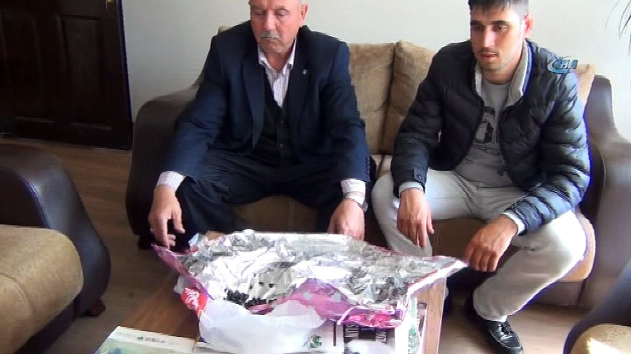 Bursa'da böcek istilası