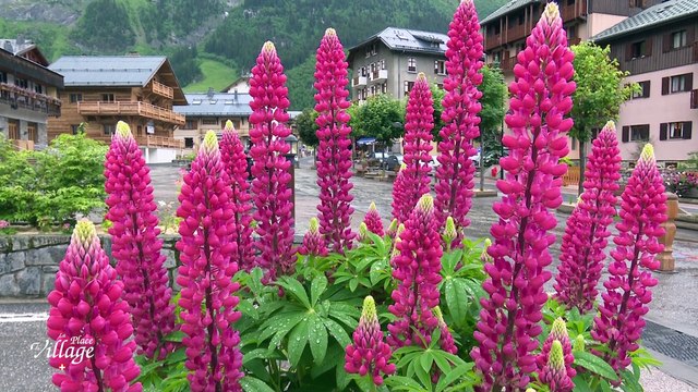 La Place du Village [S.1][E.2] - S1:E2 - Pralognan-La-Vanoise Tarentaise