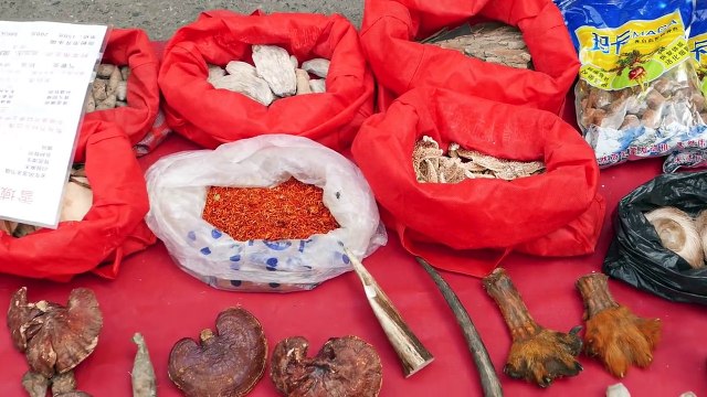 Chinese Street Food - Live Scorpians, Insects, Tiger Claws