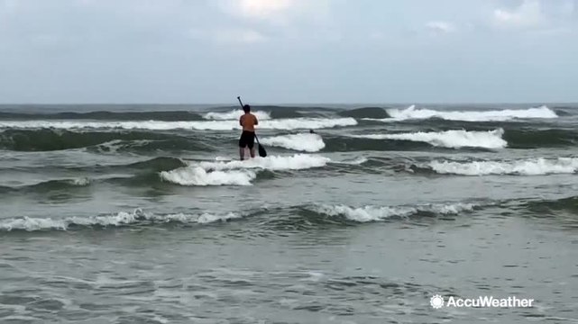 Florida beach statistical world leader in shark attacks