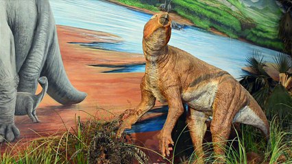 Arco, le dinosaure carnivore de l'A8