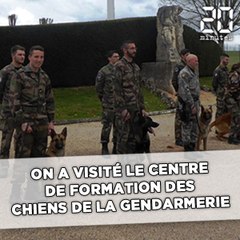 Lot: Visite du centre de formation des chiens de la Gendarmerie