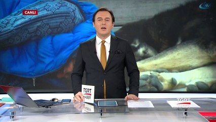 Kimsesiz Genç İle Köpeğin Aynı Bankta Uyuması Yürekleri Burktu...