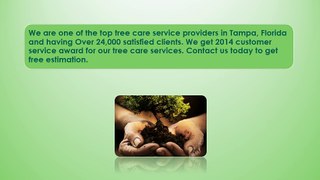 Tree Care Services in Tampa - Panorama Tree Care