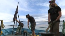 Les écologistes à la chasse aux pêcheurs au large du Mexique