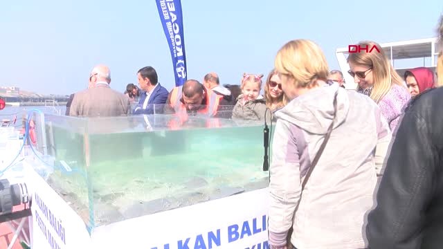 Kocaeli-İzmit Körfezi'ne 6 Bin Balık Yavrusu Daha Bırakıldı