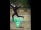 Miniature DailyMotion