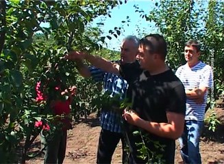 Hronika Boljevca, 10. april 2018. (RTV Bor)