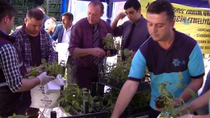 100 bin fideyi yarım saatte bitirdiler