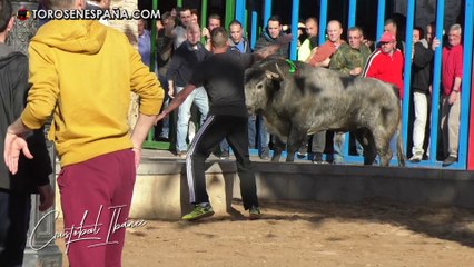 LA LLOSA - SANT VICENT 3 Y 5 DE ABRIL DE 2018 / TOROS DE ADOLFO MARTÍN