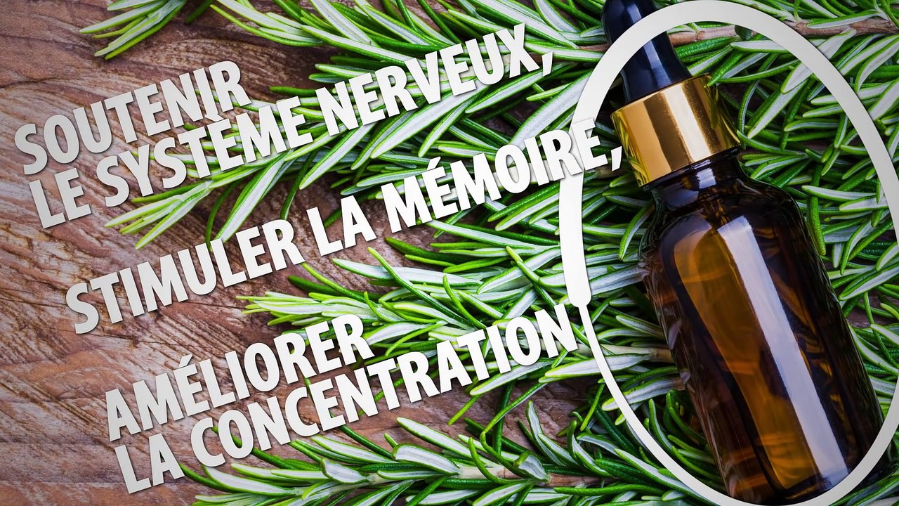 6 Plantes Pour ta Chambre Qui T’aideront à Mieux Dormir