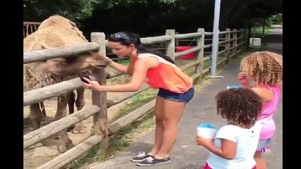Animalele si copii