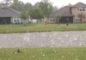 Hail Batters St. Augustine Pond During Severe Storms