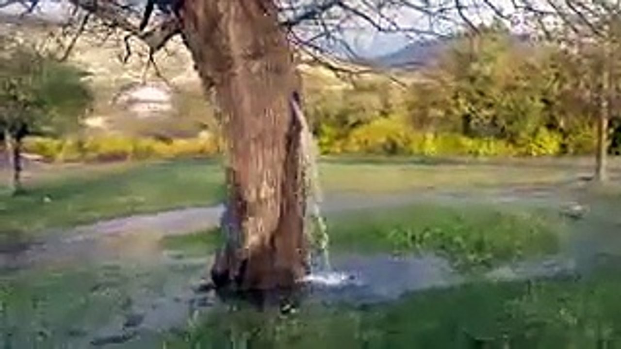 Un fenomeno strano