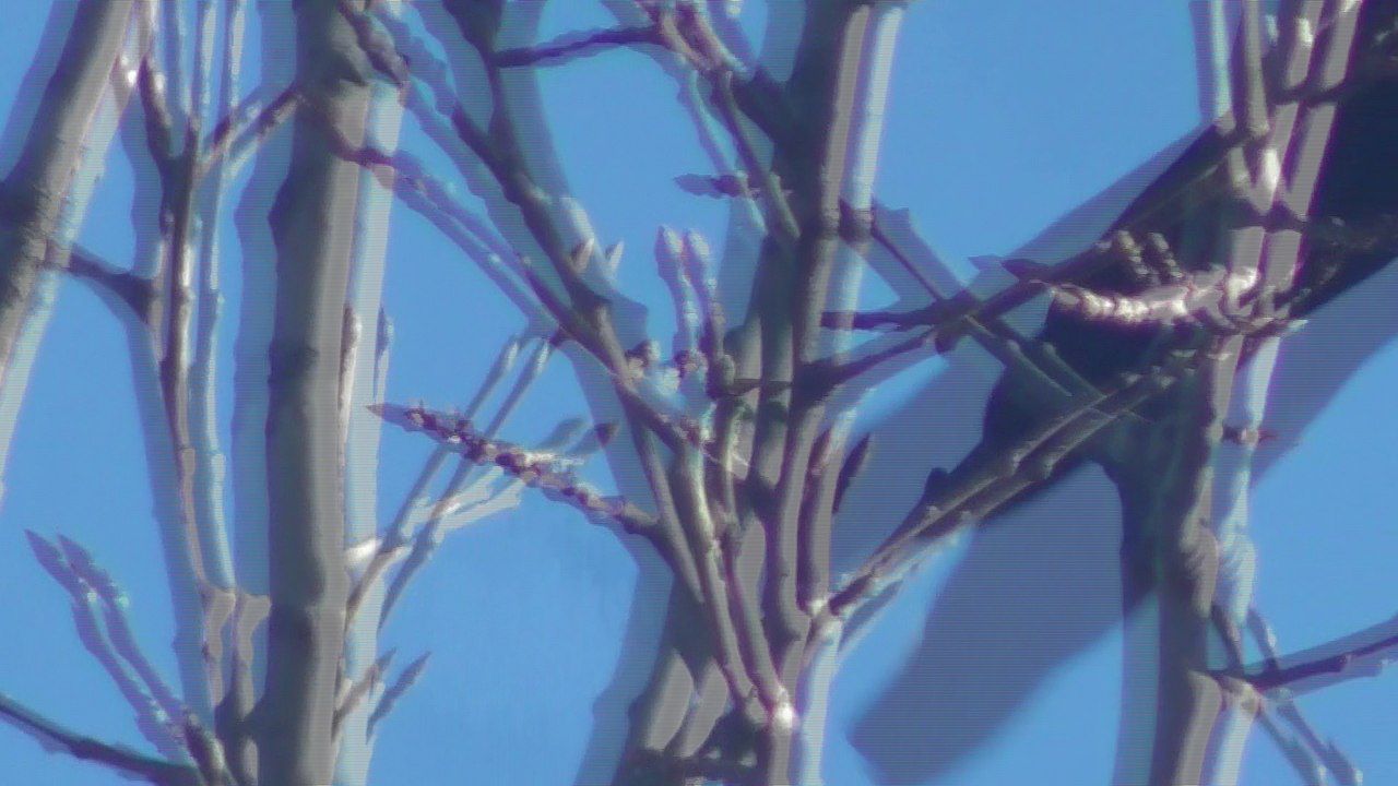 Apr 10 2018 DL9