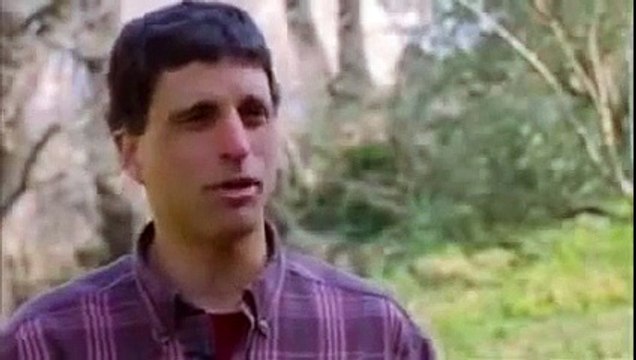 Zero Hours_ The plate tectonics beneath Italy alpine`s mountain range