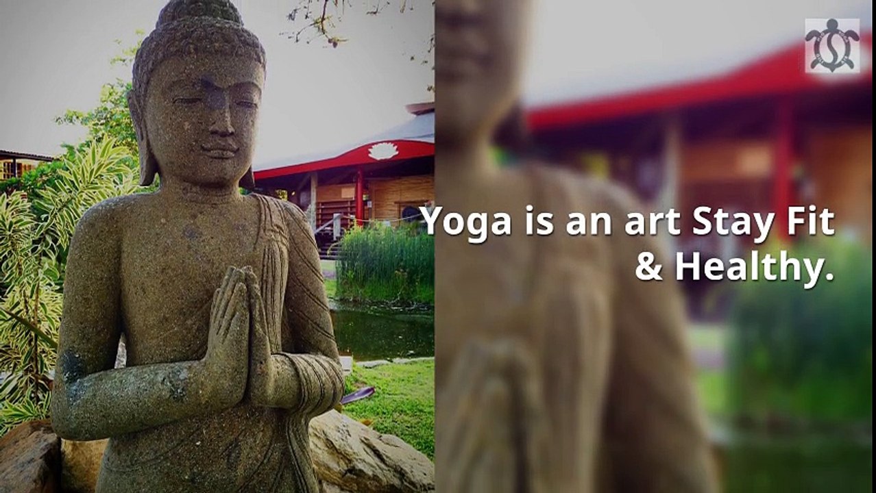 Yoga And Meditation Retreats