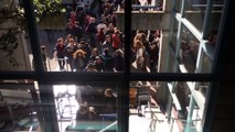 Campus de Grenoble : le centre des langues occupé par les manifestants