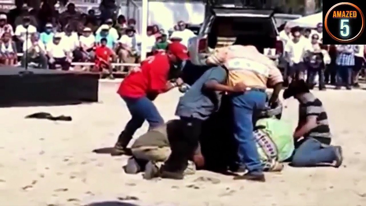 Vahşi hayvanlar insanlara saldırıyor