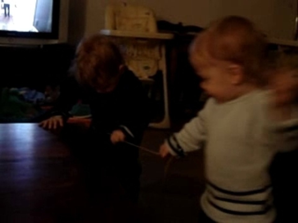 Lucas & Leo playing 17 months
