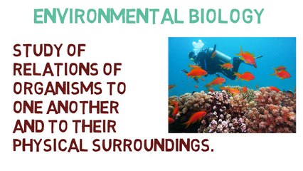 13 Main Branches of Biology