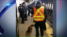 NYC Subway Inspector Rescues Dog from Tracks