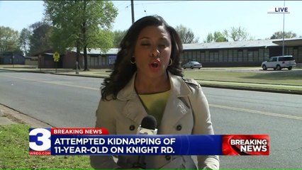 Woman Attempts to Kidnap 11-Year-Old Girl on Her Way to School, Police Say
