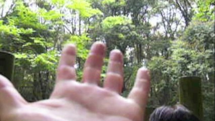 最嬉の会新規プロジェクト