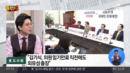 “김, 독일·네덜란드 외유 때 남은 후원금 1325만 원 썼다”