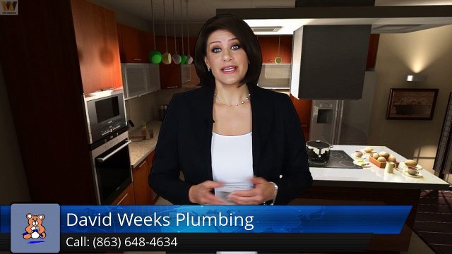 David Weeks Plumbing Lakeland Impressive Five Star Review by irene rossiter