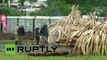 Kenia quema marfil por valor de 172 millones de dólares para salvar a los elefantes