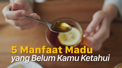 Kenali Fakta Unik Seputar Manfaat Madu