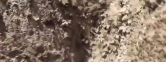 İran'da Düşen Jetin Karakutuları Paris'te Açıldı, Kazanın Esrarı 10 Gün İçinde Çözülecek