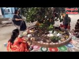 Indian Women Worship of Holy trees As A Devi .Viral India