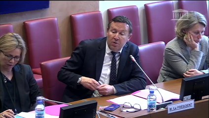 Procédures de poursuite des infractions fiscales : Audition sur le thème du parquet européen - Mardi 10 avril 2018