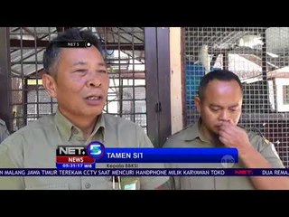 Aksi Berbahaya Pemandu Wisata Bahayakan Jiwa Wisatawan Dan Satwa Komodo -NET5