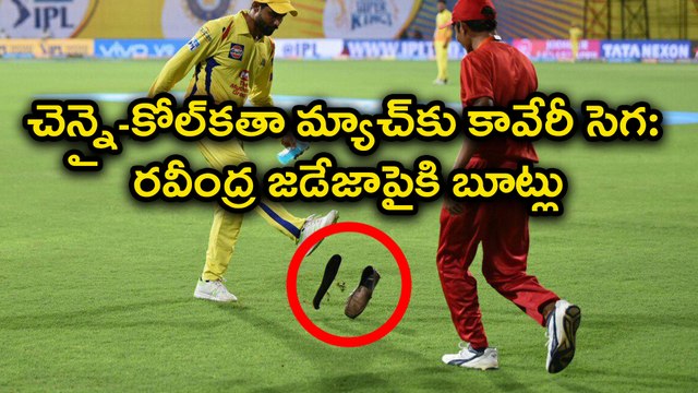 IPL 2018: CSK vs KKR Cauvery Water Protesters Hurl Shoe At Ravindra Jadeja