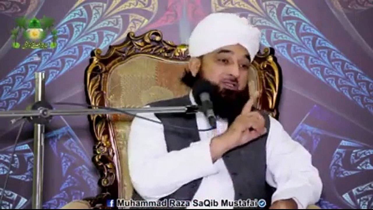 Muhammad Raza Saqib Mustafai (224)