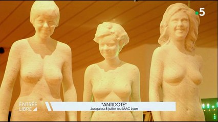 L'antidote d'Adel Abdessemed