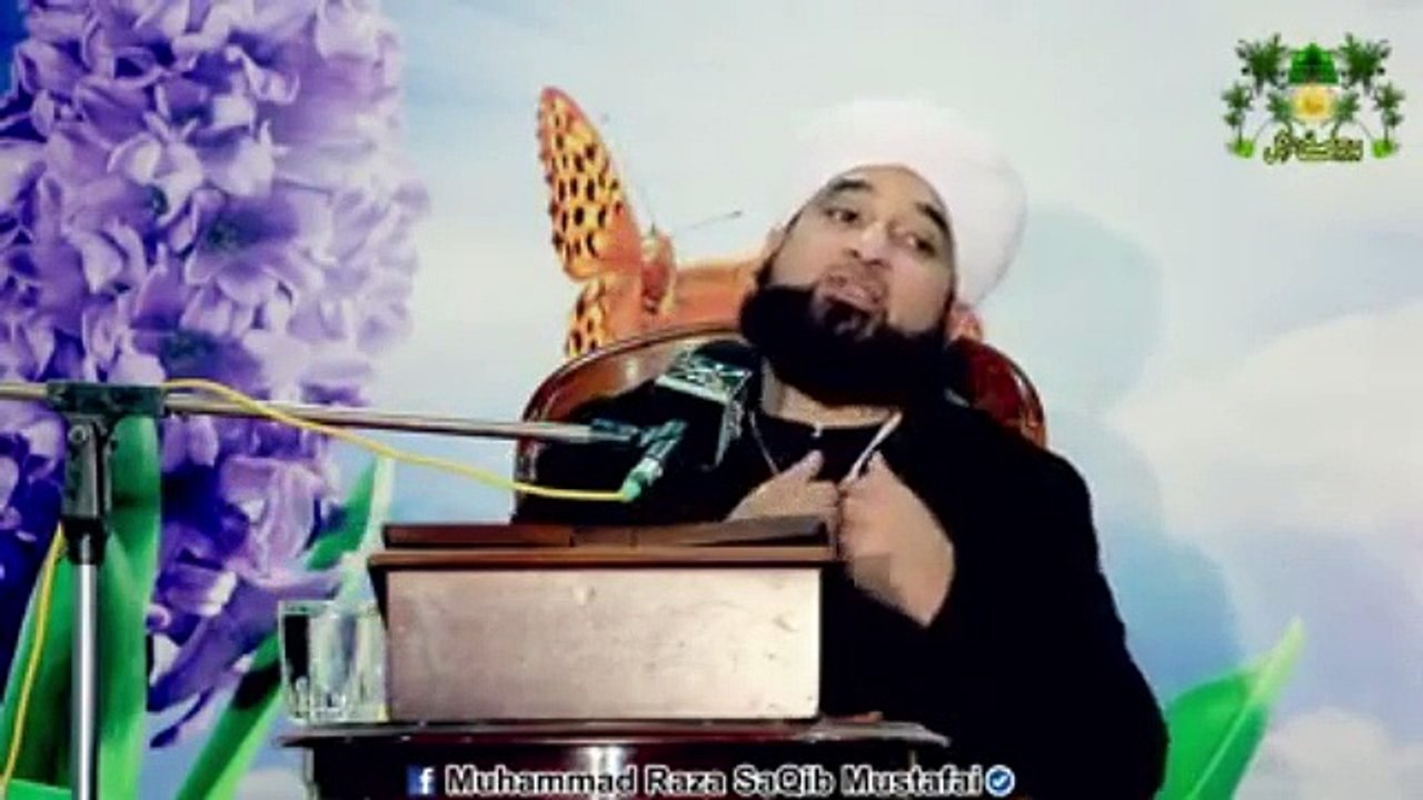 Muhammad Raza Saqib Mustafai (228)