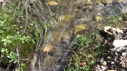 Akdağ'da bahar erken başladı