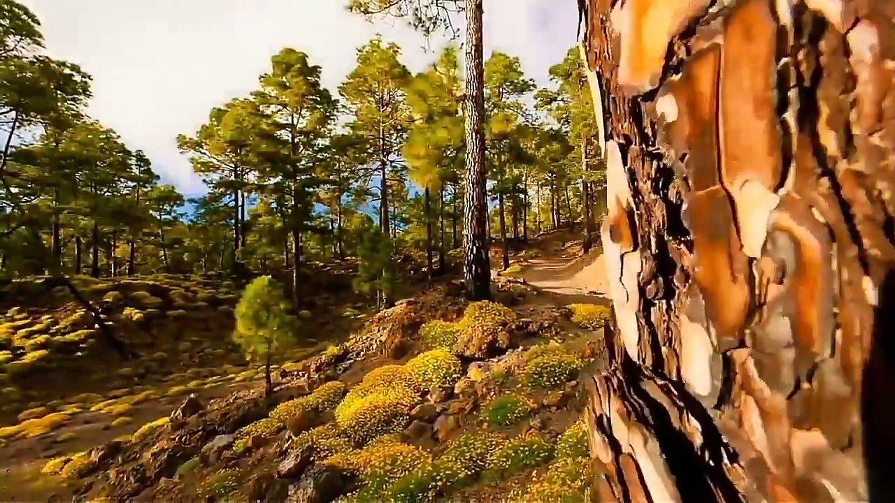 Mausam Remix - Nature Theam pure Souund